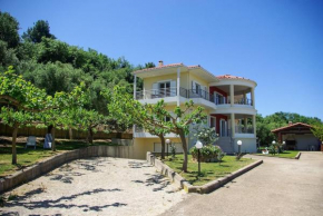 Villa Thodoris Panoramic View, Skafidia